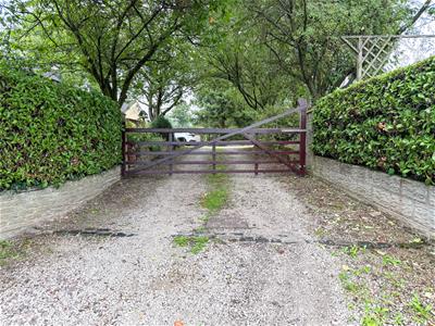 Picture 45